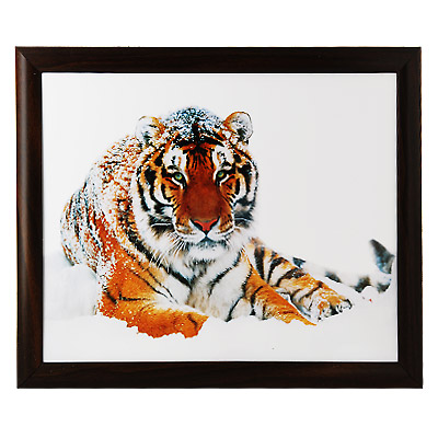 Постер "Амурский тигр", 24 см x 30 см ДВП Изготовитель: Россия Артикул: 6818-24 инфо 3598b.